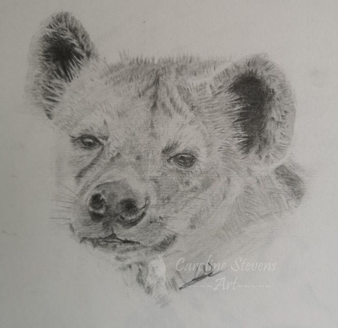 images/dog6.jpg#joomlaImage://local-images/dog6.jpg?width=680&height=660