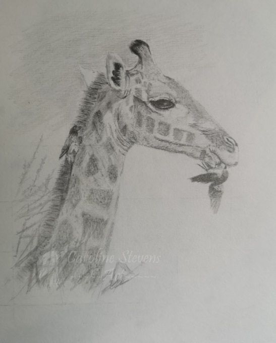 images/giraffe.jpg#joomlaImage://local-images/giraffe.jpg?width=547&height=680