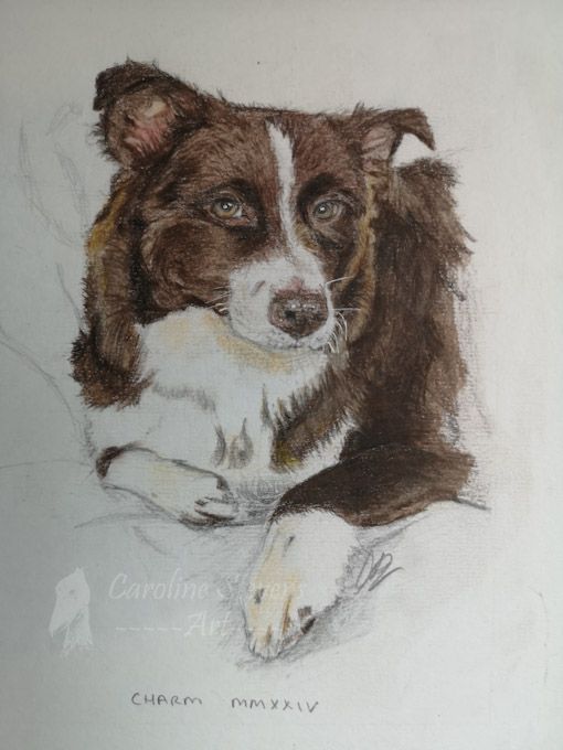 images/dog11.jpg#joomlaImage://local-images/dog11.jpg?width=510&height=680
