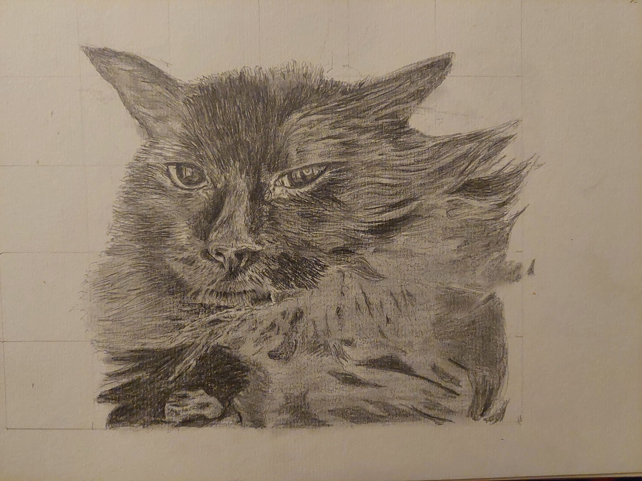 images/cat3.jpg#joomlaImage://local-images/cat3.jpg?width=2048&height=1536